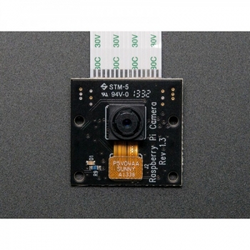 ماژول دوربین 5 مگاپیکسل Raspberry Pi NoIR Infrared Camera Board