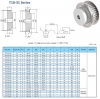 پولی تایمینگ سری T10-31 با گام 10mm و دندانه‌های مختلف